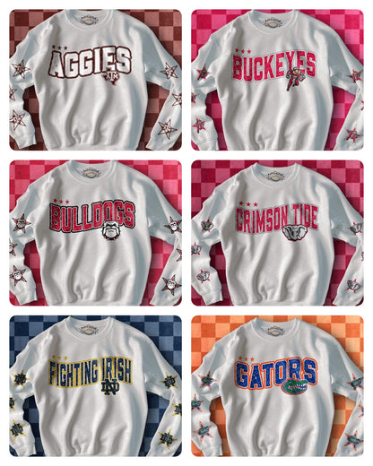 Football w/ Sleeves (College)---PICK A TEAM