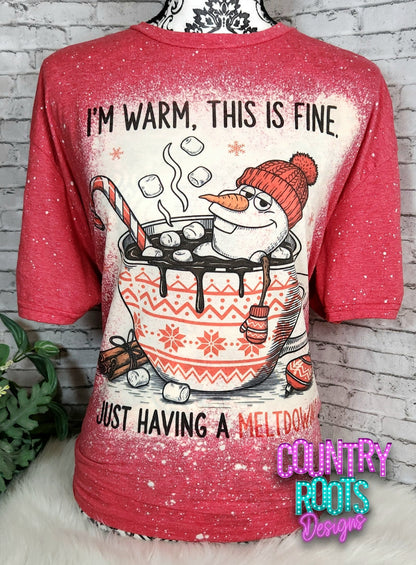 Just Having A Meltdown