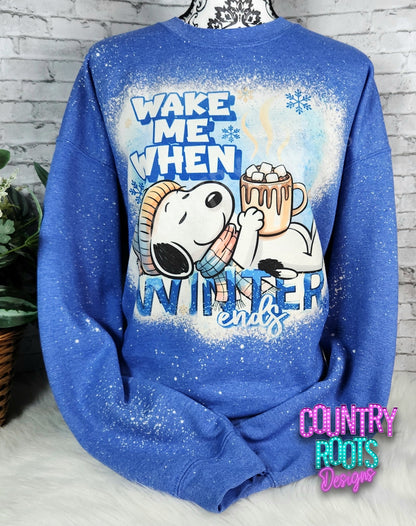 Wake Me When Winter Ends