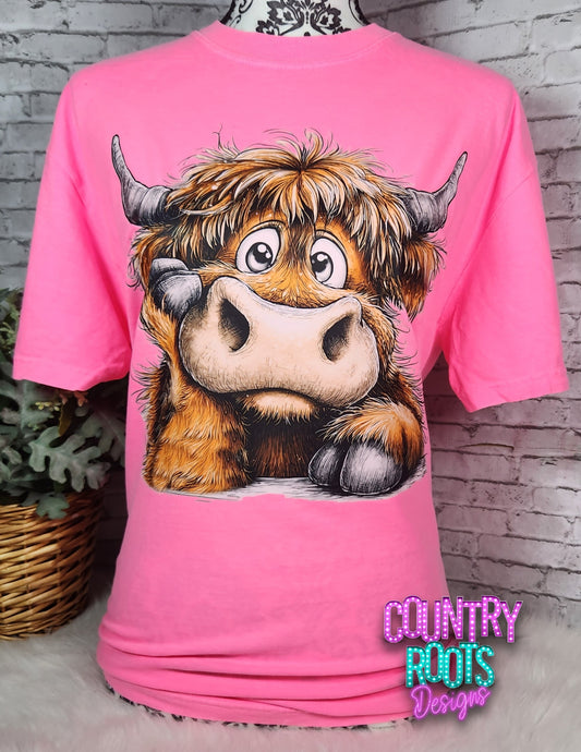 Highland Cow_ CC