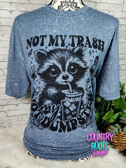 Not My Trash Not My Dumpster