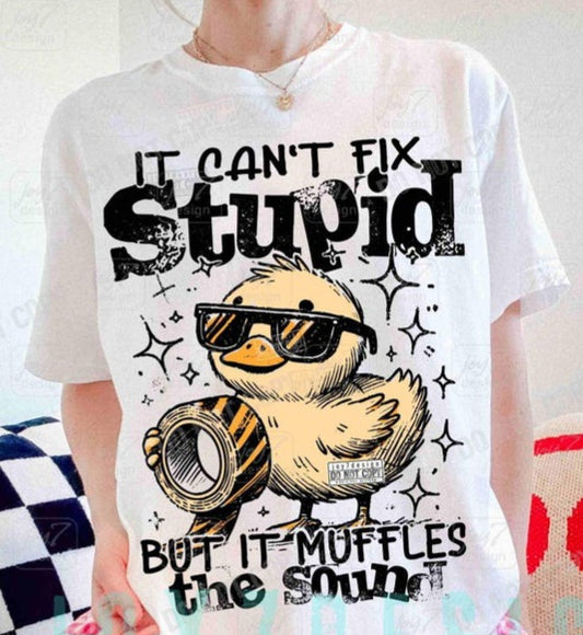 It Can't Fix Stupid