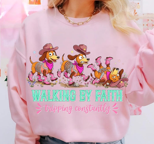 Walking By Faith Funny Dog